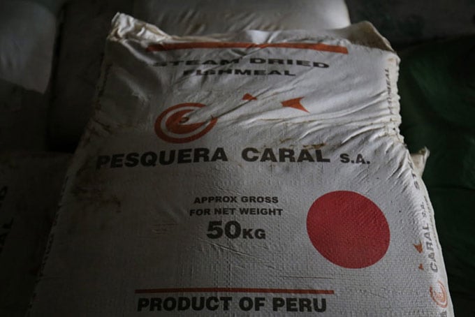 Peruvian fishmeal bag