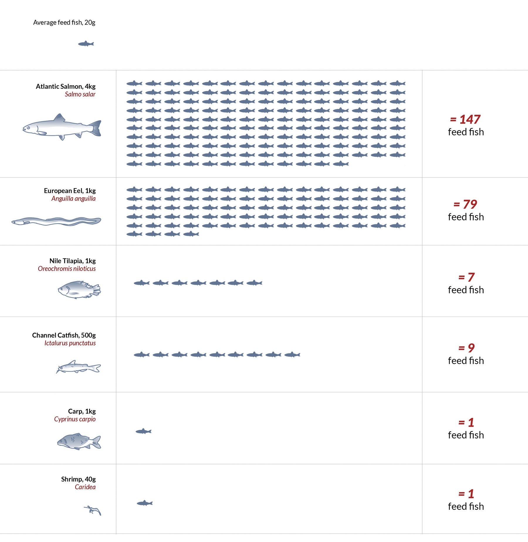 Fish In Fish Out ratios | Global Reporting Program