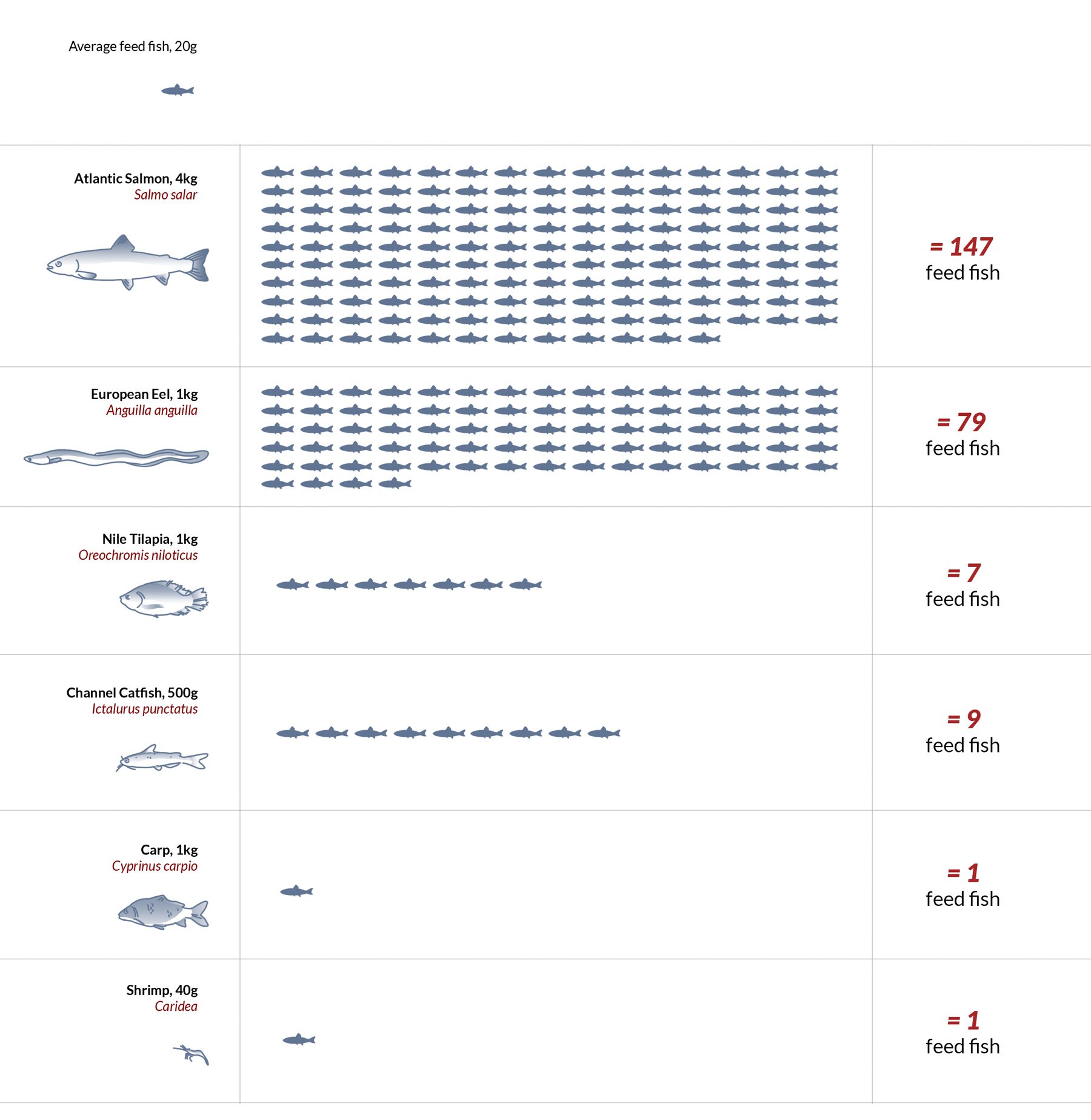 One in three fish caught never makes it to the plate – UN report, Fishing