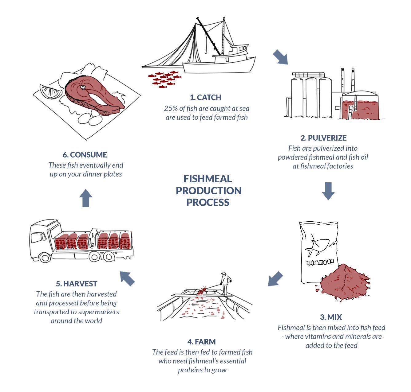 The fishmeal production process | Global Reporting Program