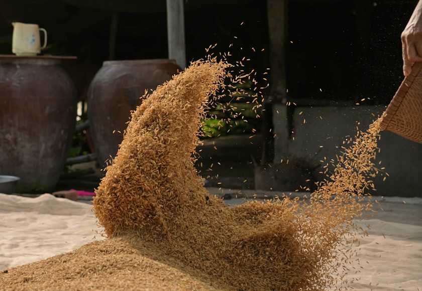 Close-up image of rice being poured into a pile.